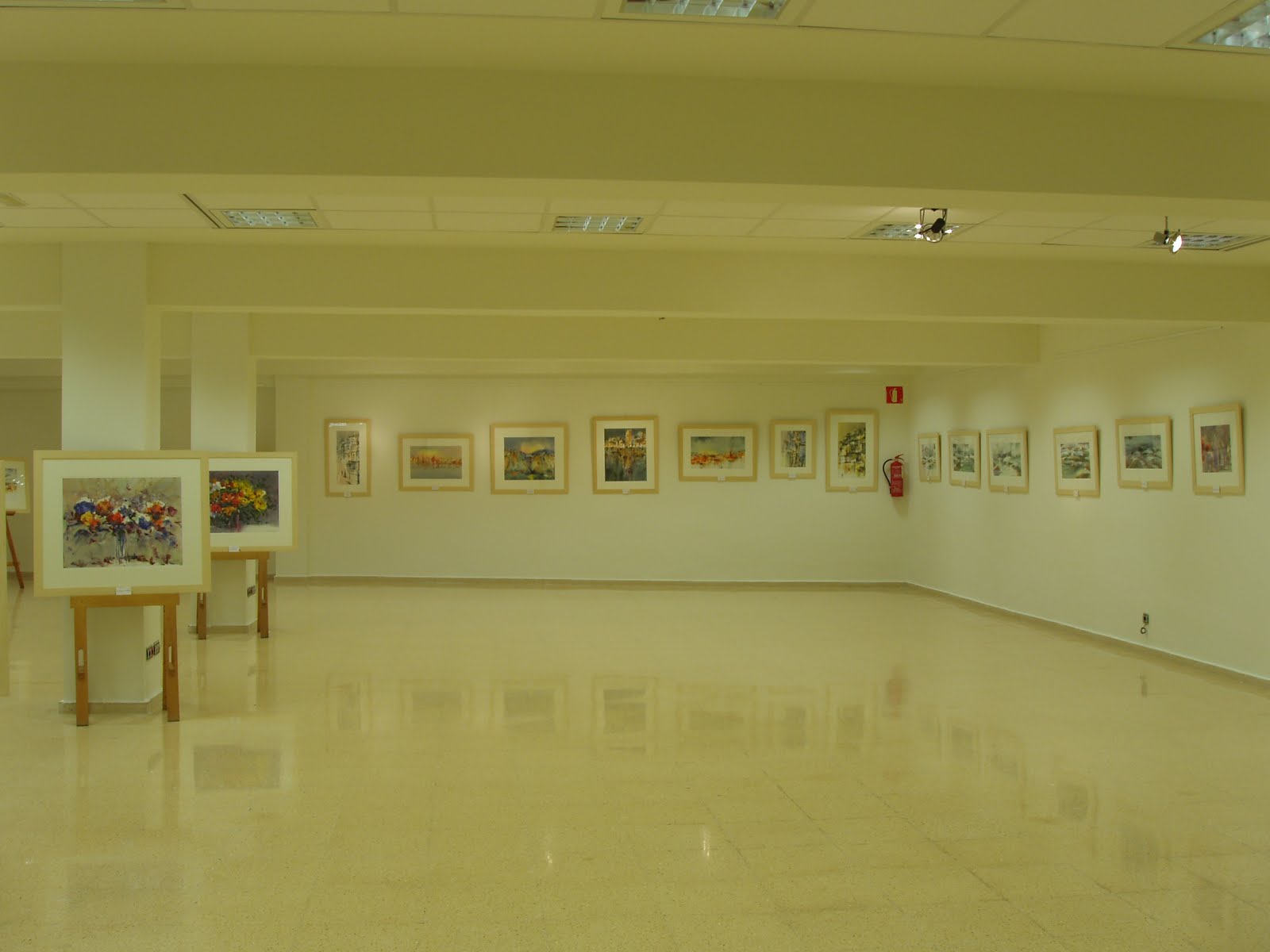 2006. Salón de Exposiciones Casa de Cultura «María Moliner» Jaca (Huesca)